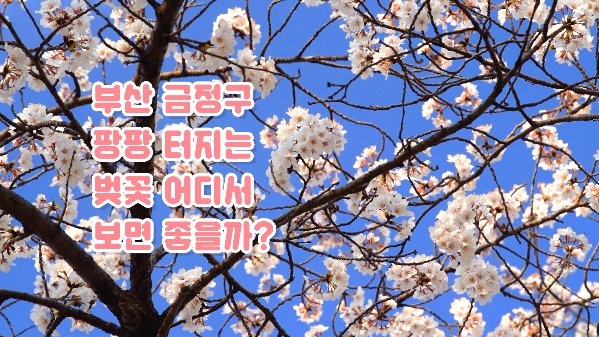 영금썸네일26년4월호.jpg