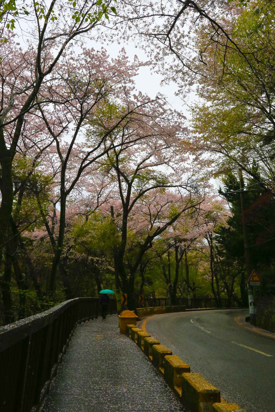 장려(범어사가는 길).jpg