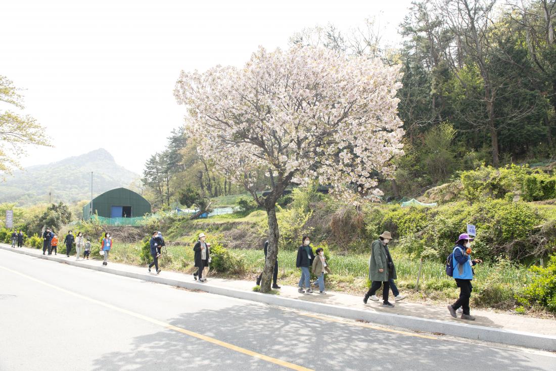 20210417_금정산성 수호대 산성마을 한바퀴_19.jpg