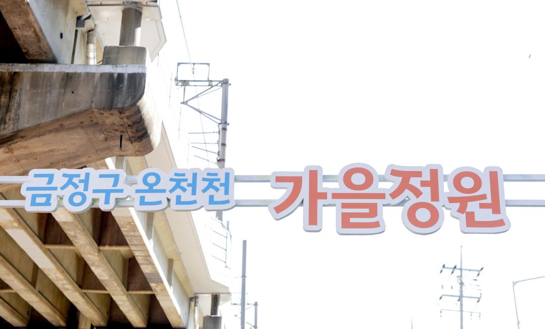 20211020_온천천 가을 정원_4.jpg