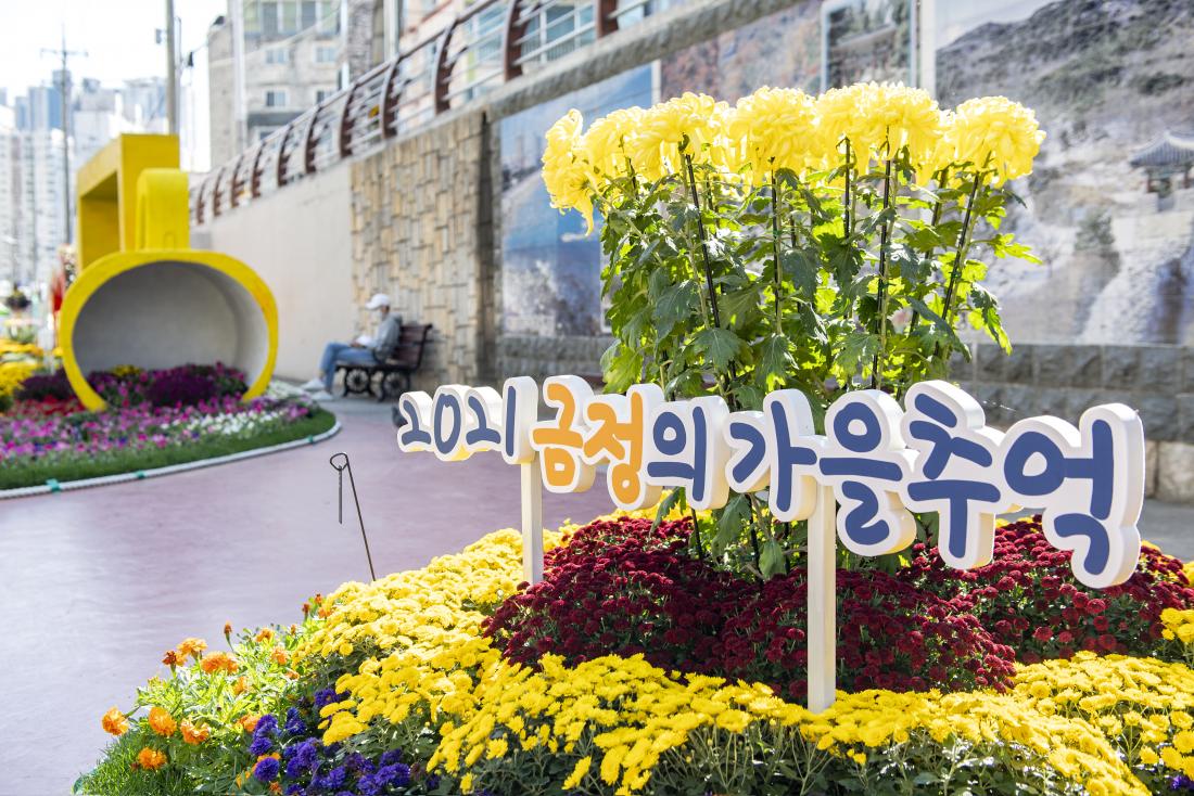 20211020_온천천 가을 정원_9.jpg