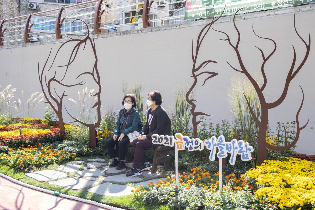 20211020_온천천 가을 정원_26.jpg