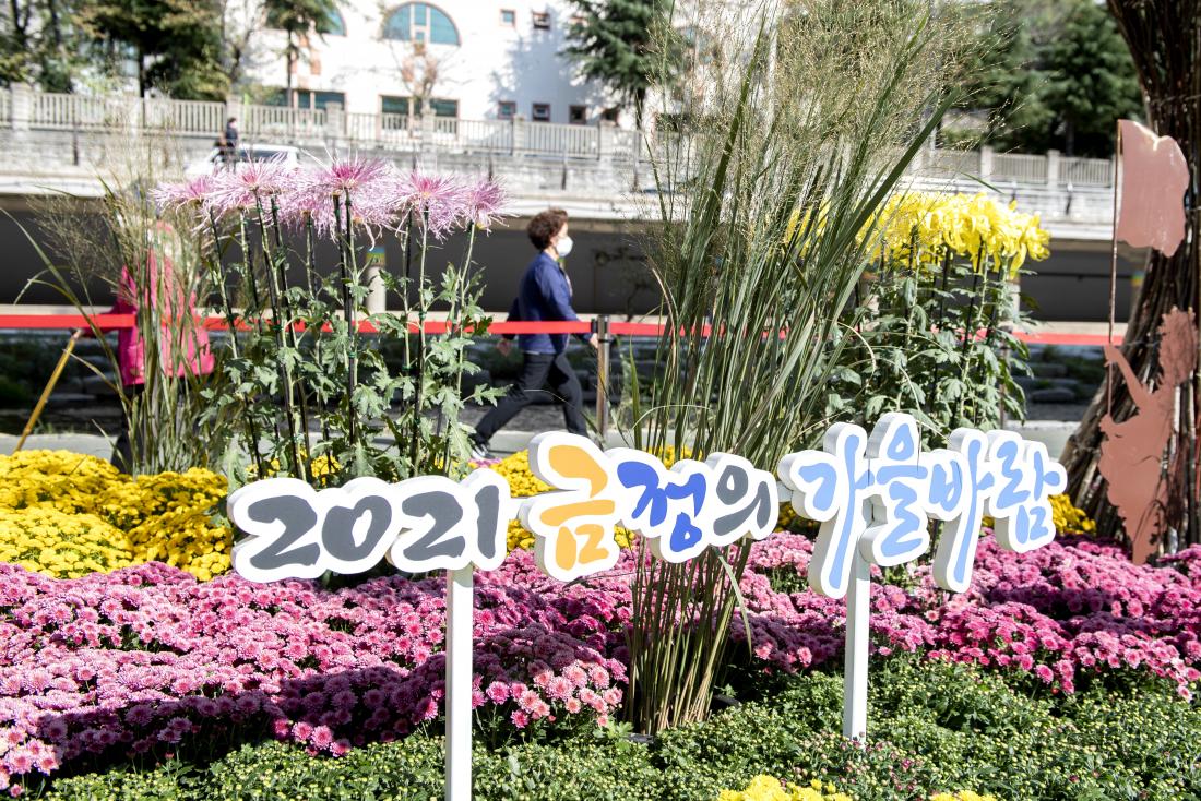 20211020_온천천 가을 정원_27.jpg