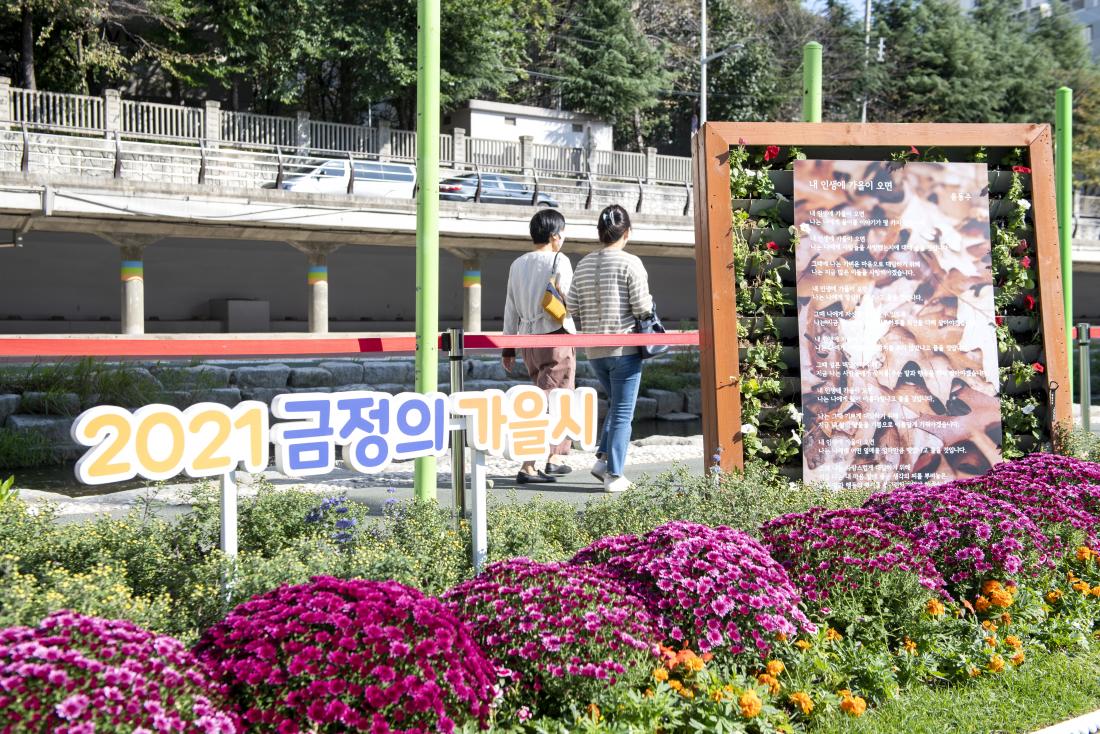 20211020_온천천 가을 정원_41.jpg