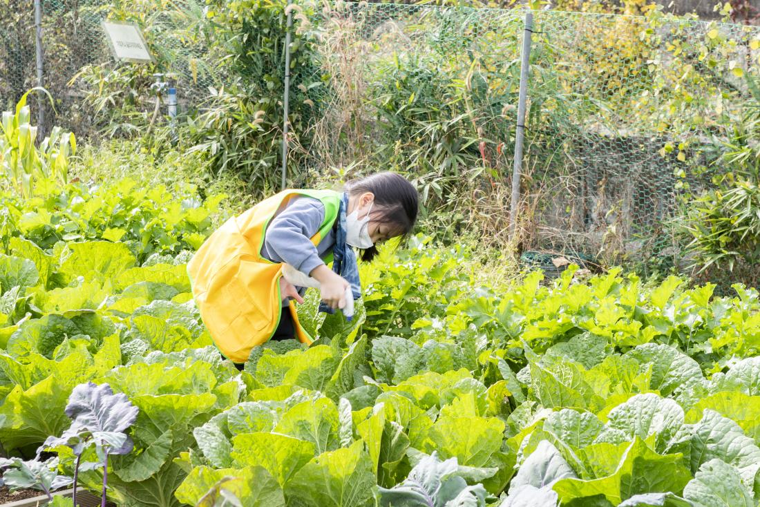 20211030_우리동네 꼬마농부 졸업식_43.jpg