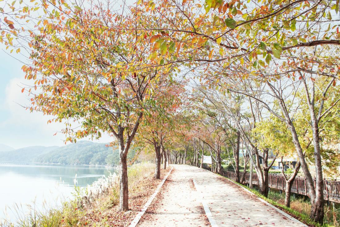 20211105_상현마을의 가을_3.jpg