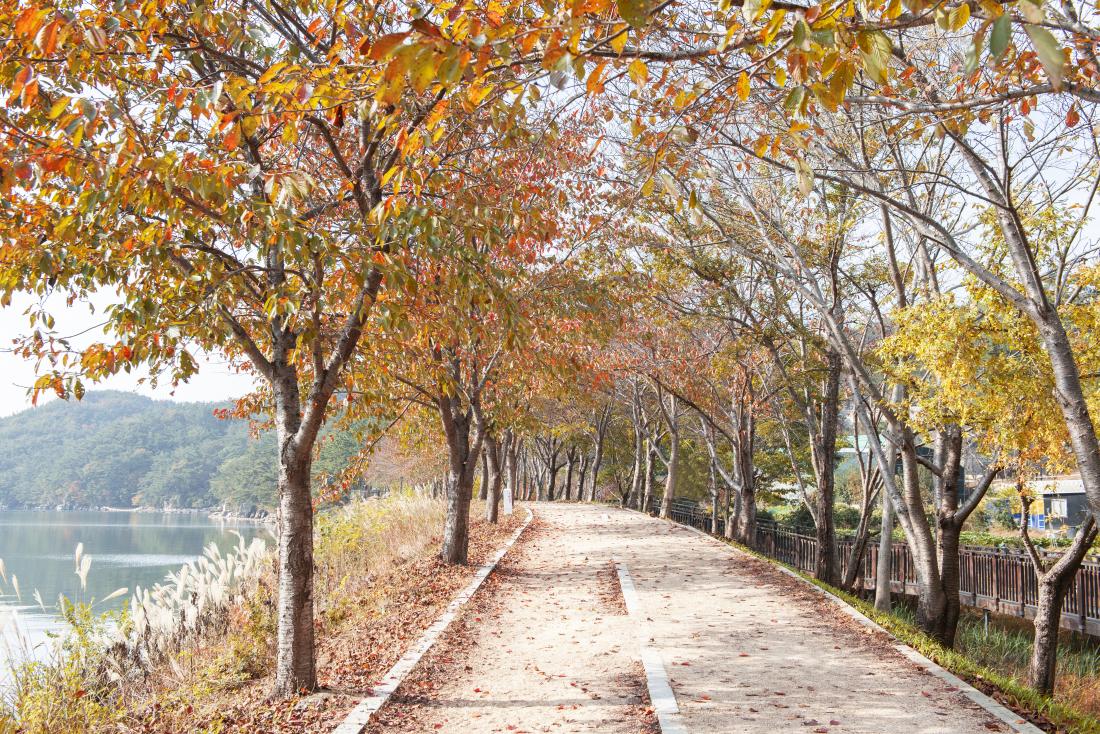 20211105_상현마을의 가을_1.jpg