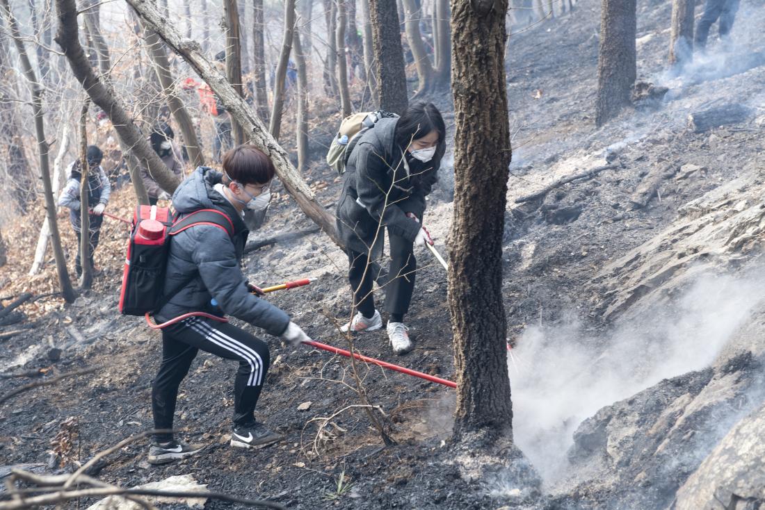 20220307_아홉산 산불 진압_15.jpg