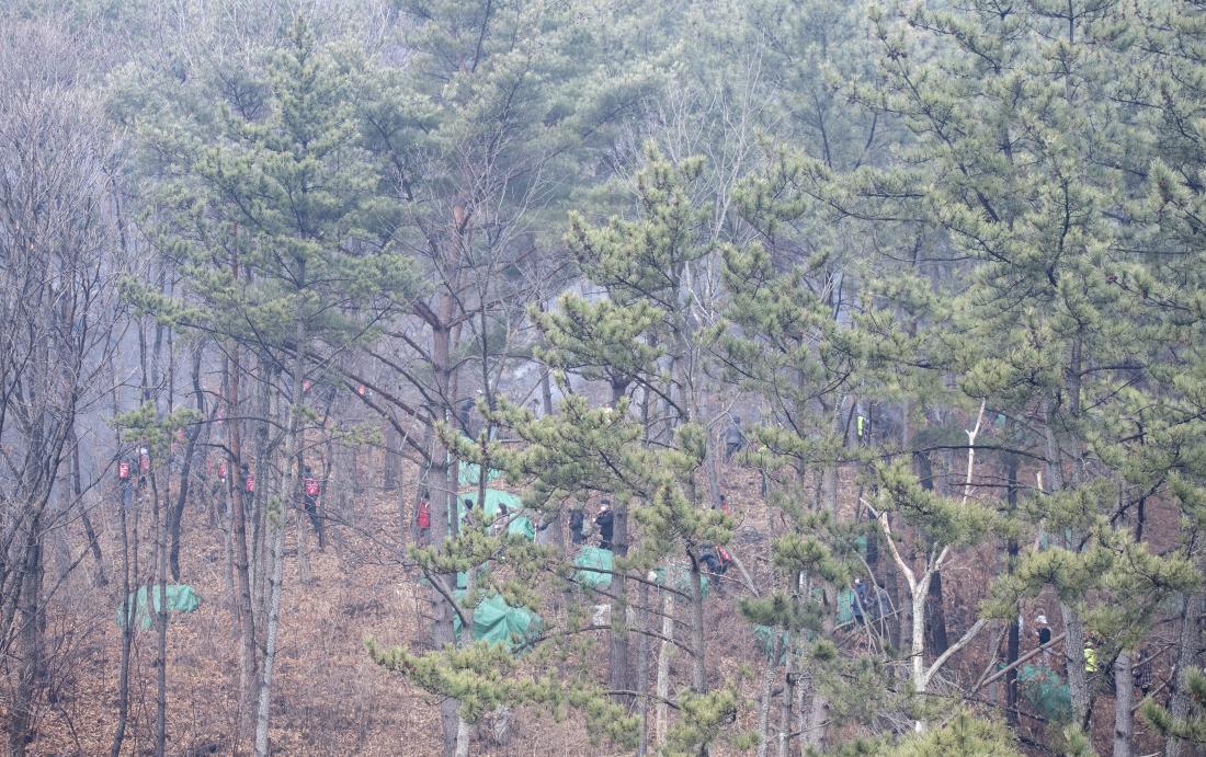 20220307_아홉산 산불 진압_28.jpg