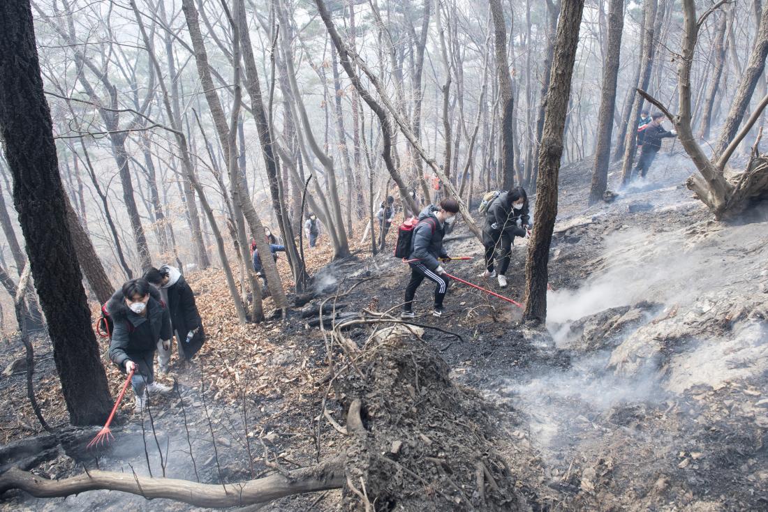20220307_아홉산 산불 진압_16.jpg