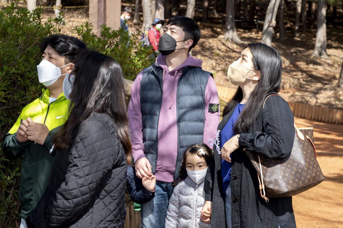 20220327_새알공예 체험 및 우리가족 반려식물_25.jpg
