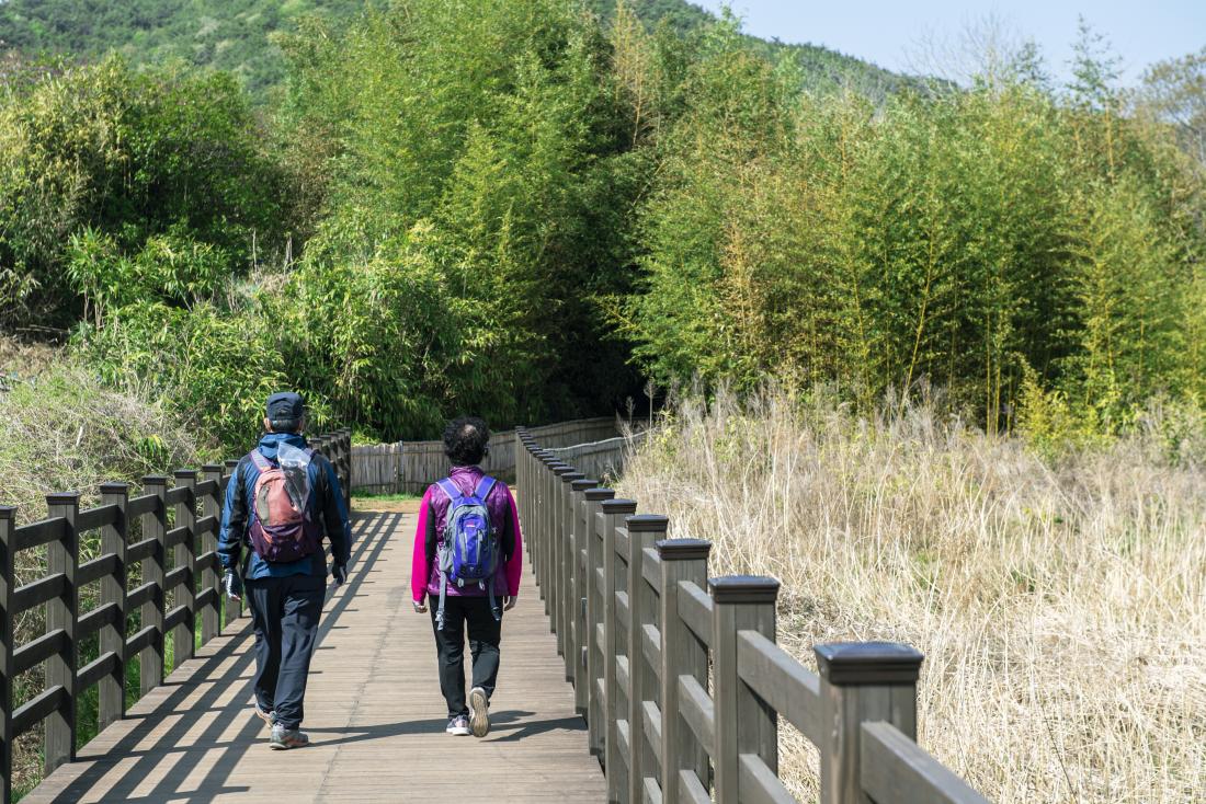 20220412_땅뫼산 대나무숲길_2.jpg