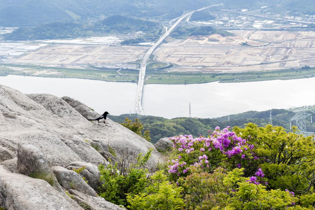 20220510_금정산 고당봉_15.jpg