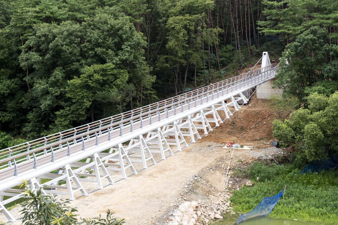 20220722_주요사업 현장 방문(용성계곡 외)_29.jpg