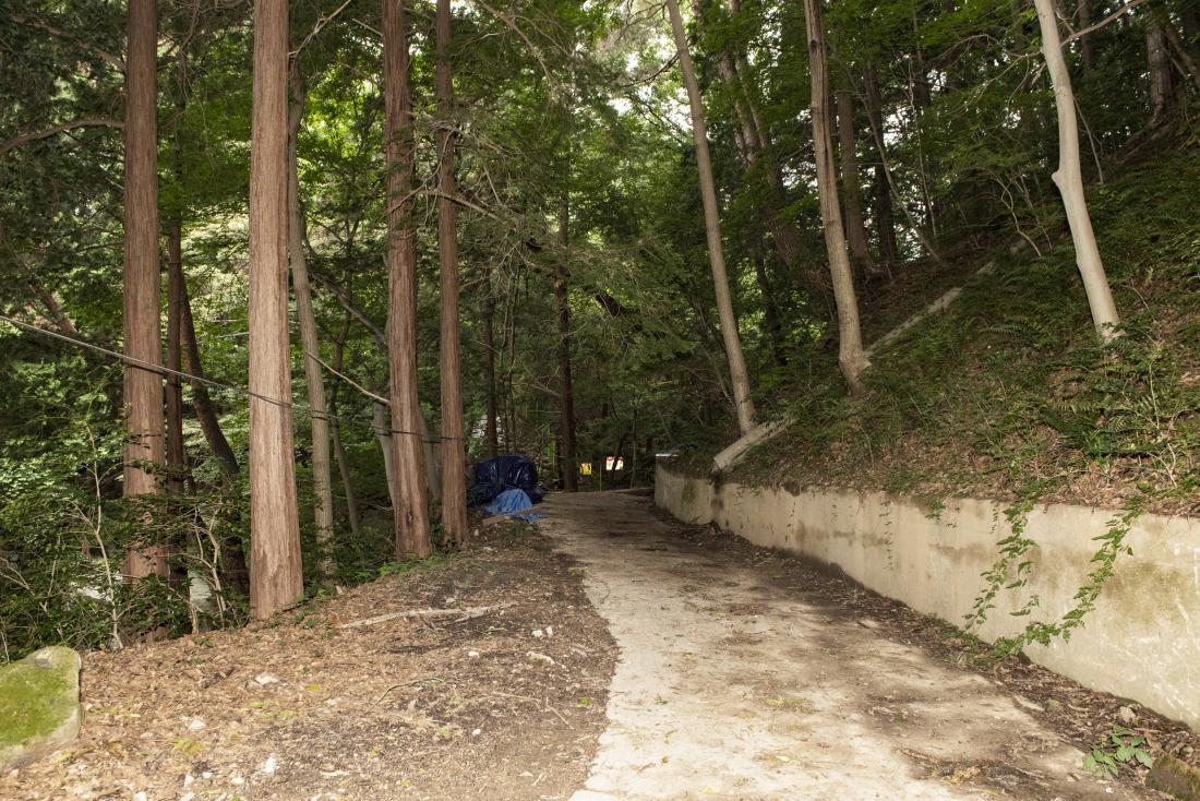 20220722_주요사업 현장 방문(용성계곡 외)_15.jpg