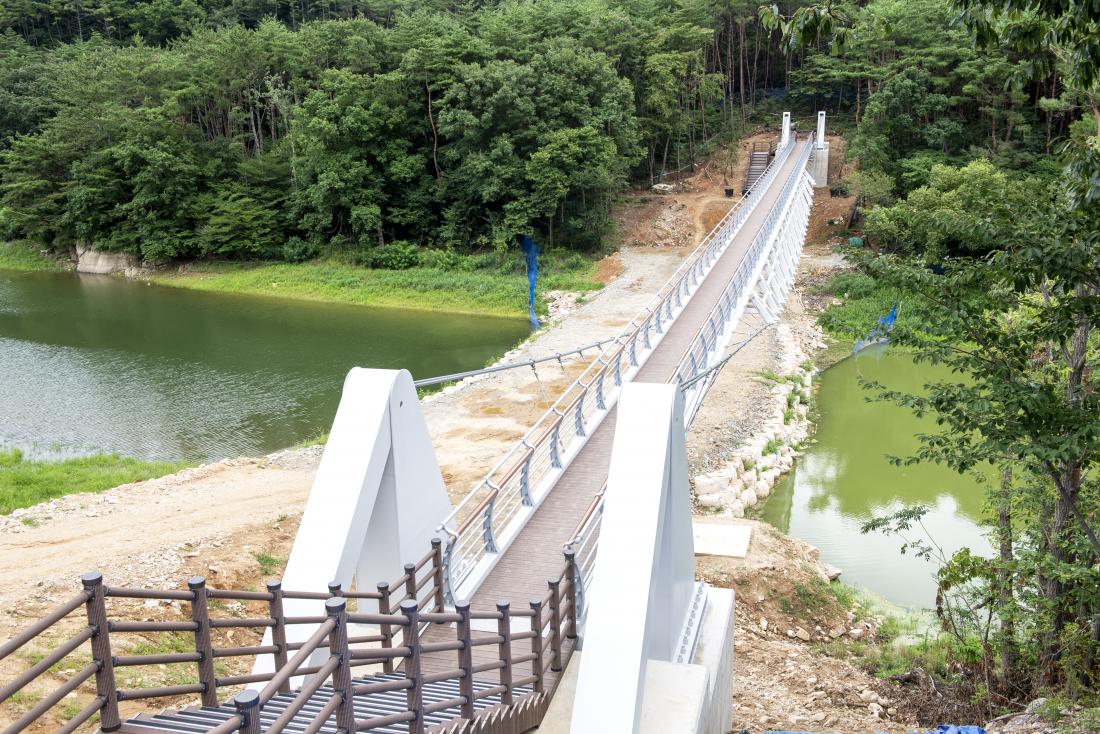 20220722_주요사업 현장 방문(용성계곡 외)_45.jpg