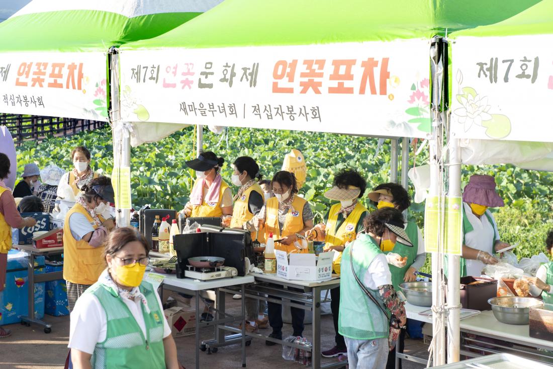 20220729_제7회 선두구동 연꽃문화제_15.jpg
