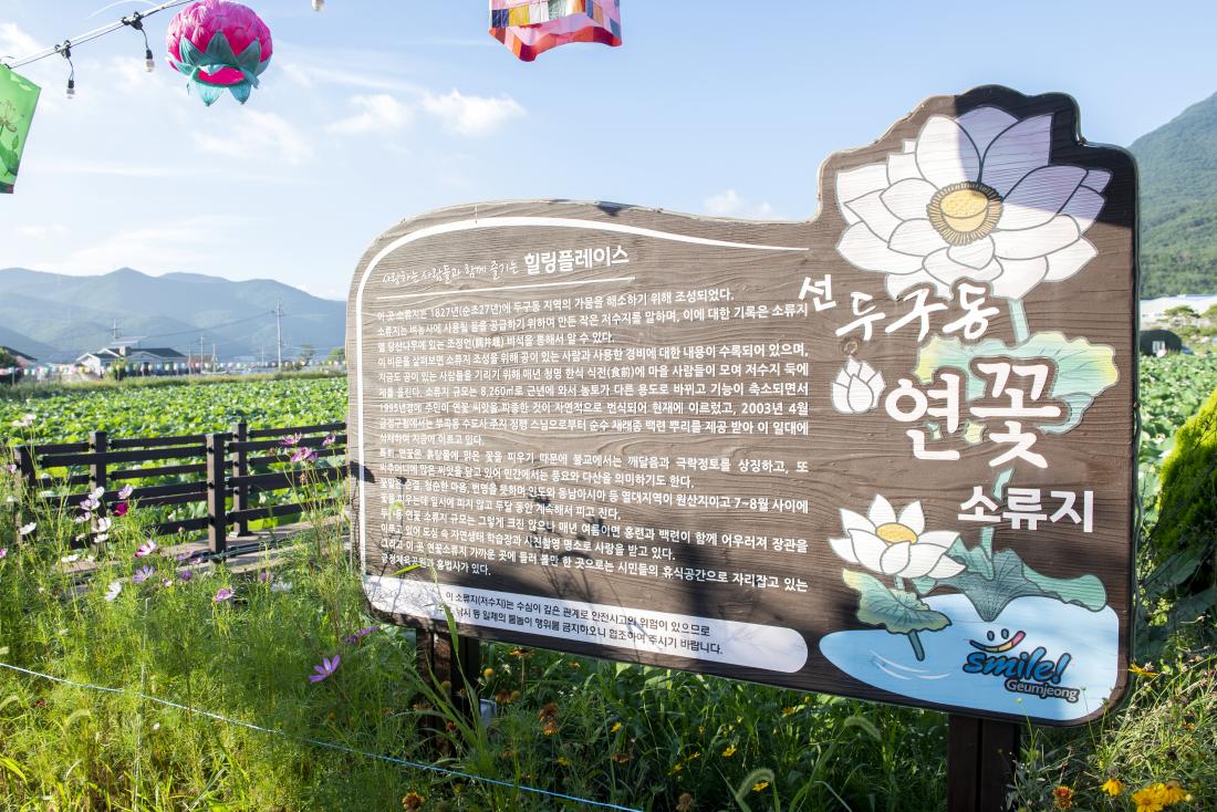 20220729_제7회 선두구동 연꽃문화제_3.jpg