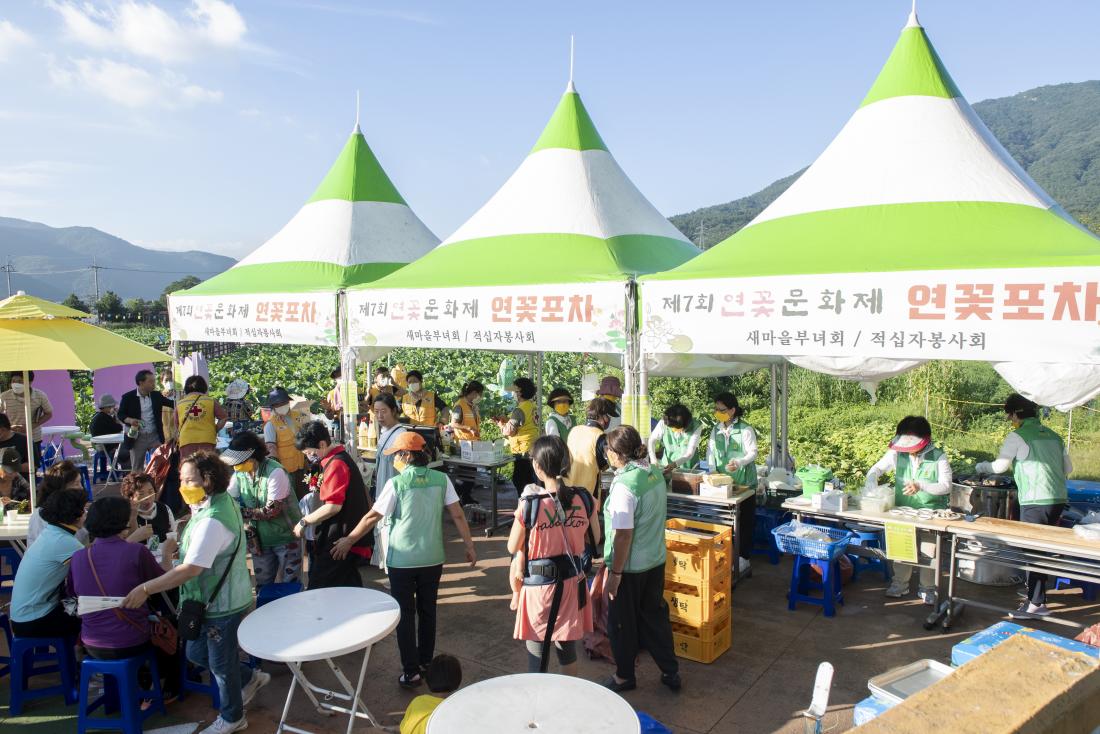20220729_제7회 선두구동 연꽃문화제_12.jpg