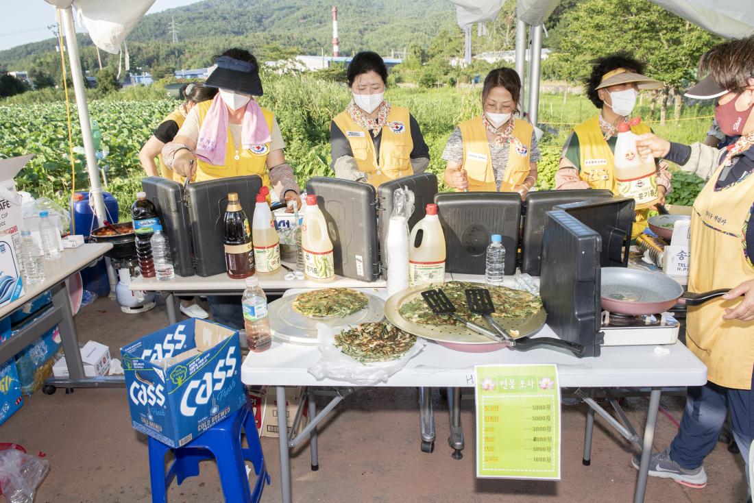 20220729_제7회 선두구동 연꽃문화제_18.jpg