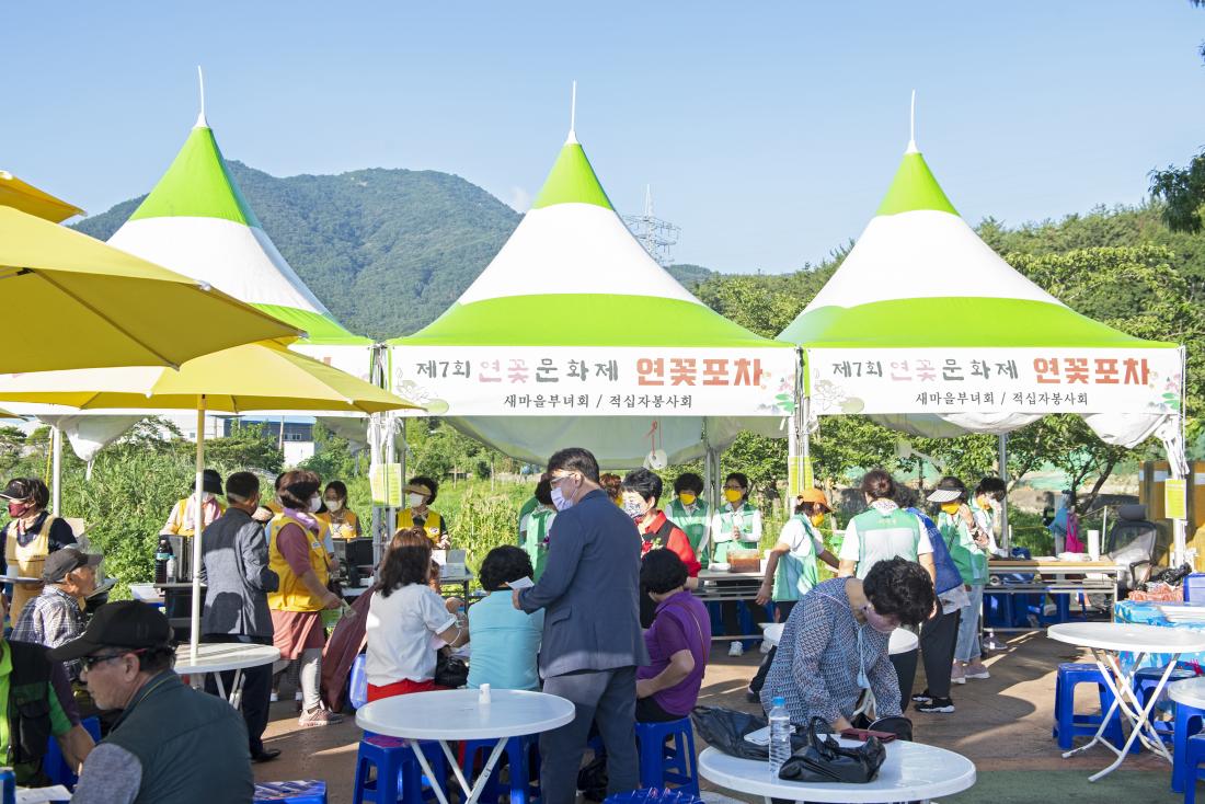 20220729_제7회 선두구동 연꽃문화제_10.jpg