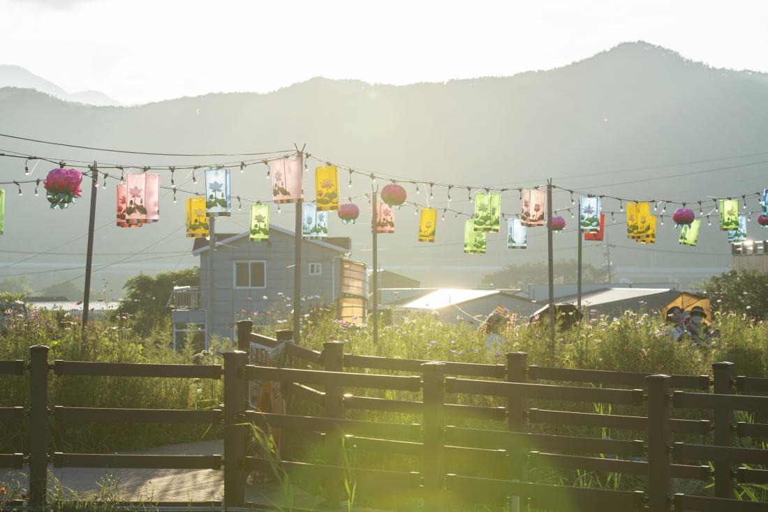 20220729_제7회 선두구동 연꽃문화제_44.jpg
