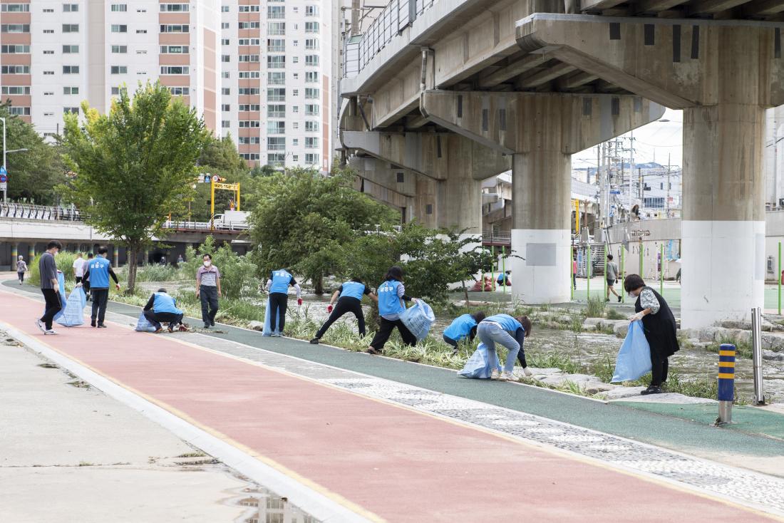 20220906_태풍 '힌남노' 관련 온천천 정비 작업_16.jpg