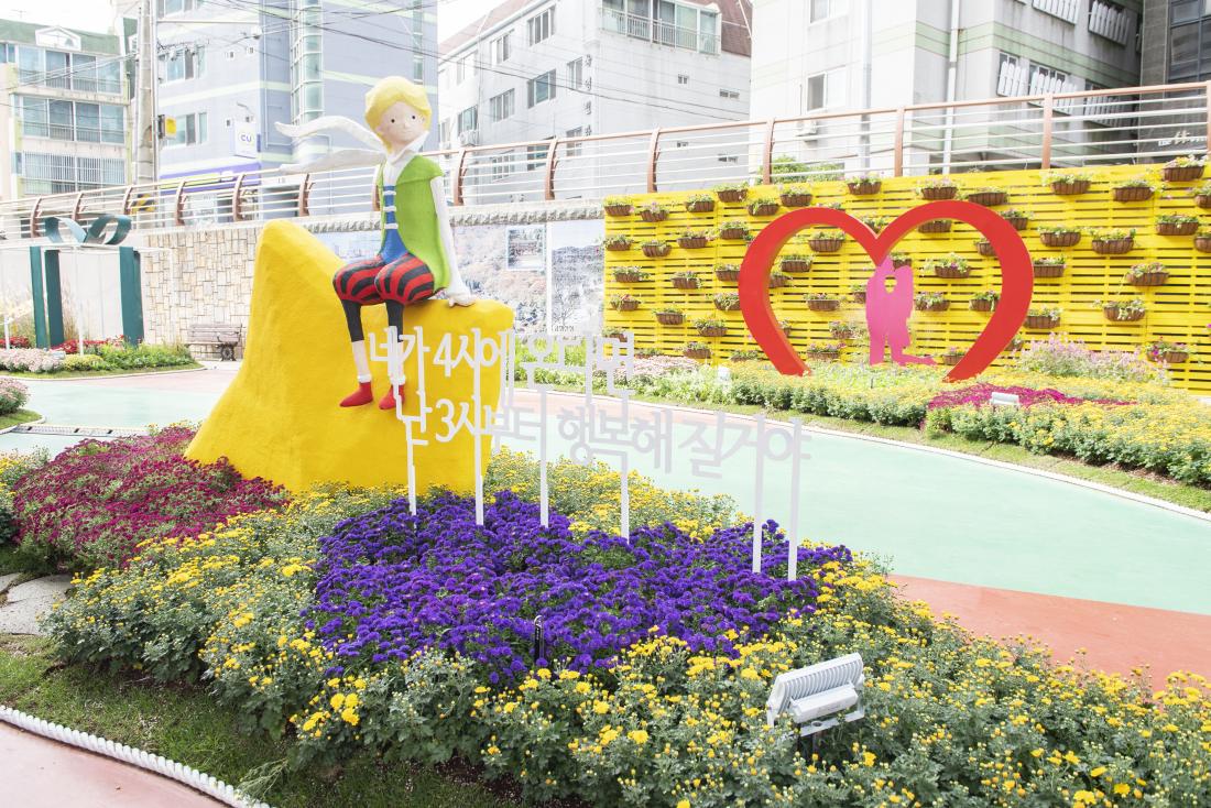 20221014_온천천 가을 꽃 정원_29.jpg