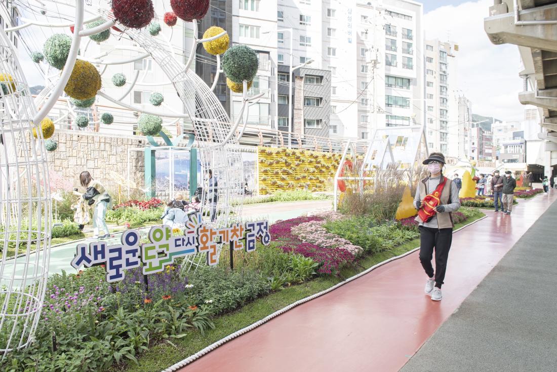 20221014_온천천 가을 꽃 정원_32.jpg