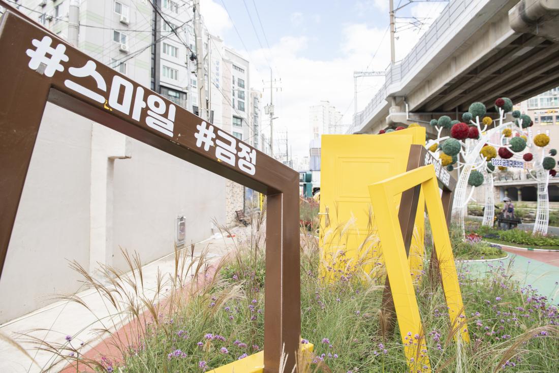 20221014_온천천 가을 꽃 정원_5.jpg