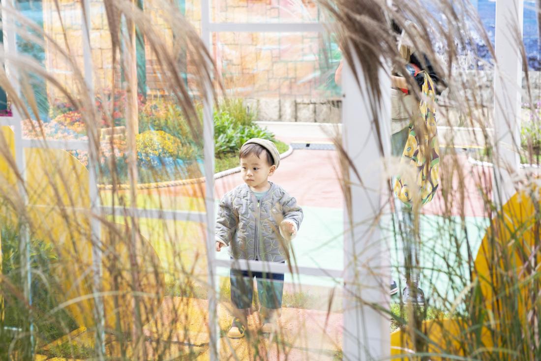 20221014_온천천 가을 꽃 정원_28.jpg