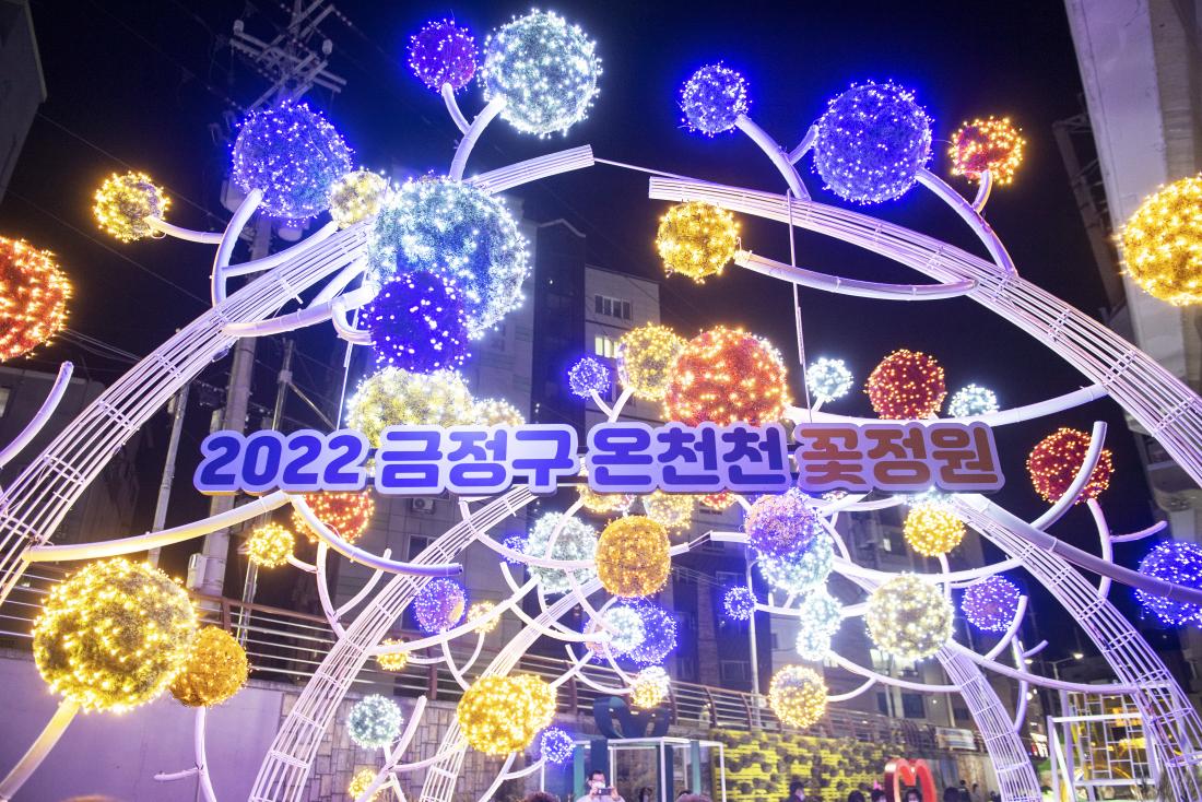 20221014_온천천 야간 꽃정원_9.jpg