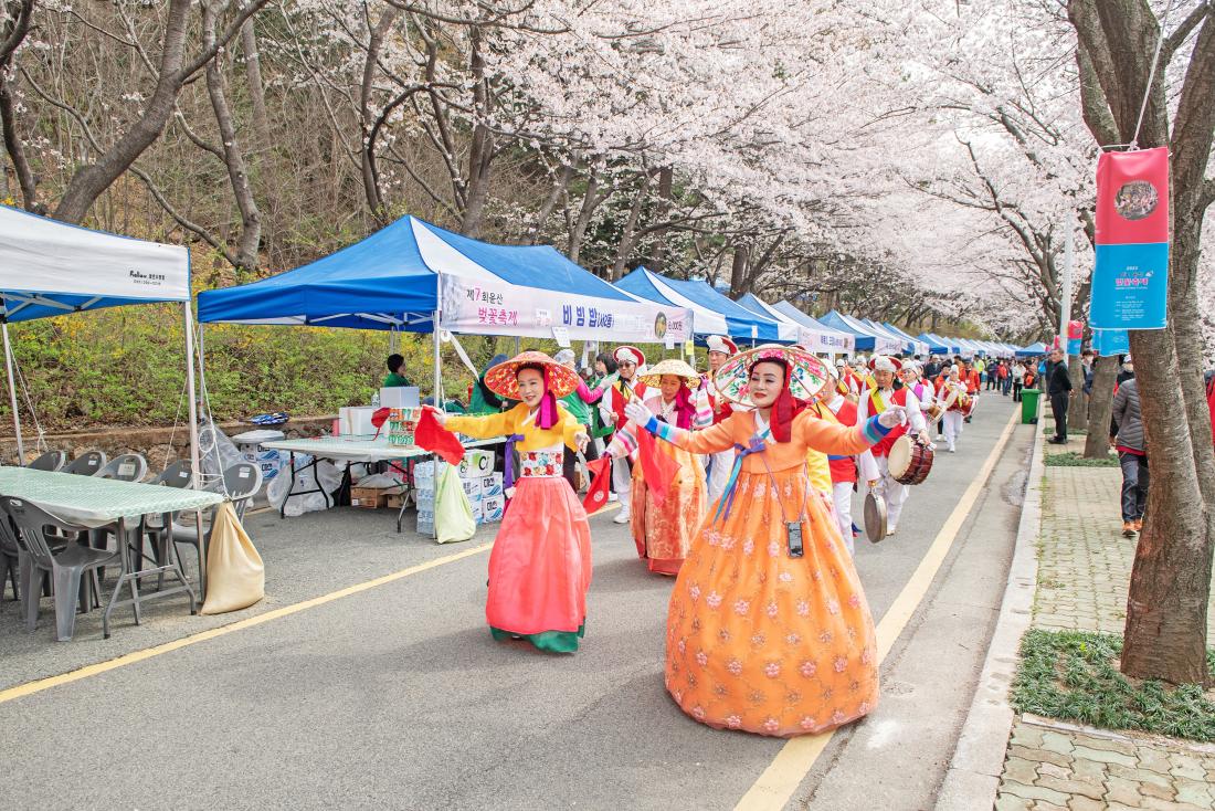 20230326_ 제7회 윤산 벚꽃 축제_2.jpg