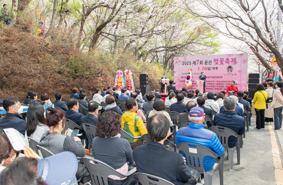 20230326_ 제7회 윤산 벚꽃 축제_36.jpg