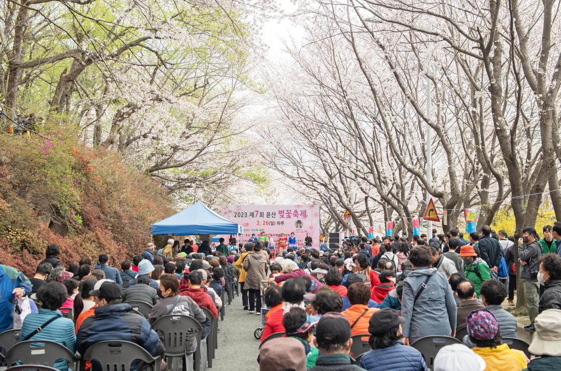 20230326_ 제7회 윤산 벚꽃 축제_44.jpg