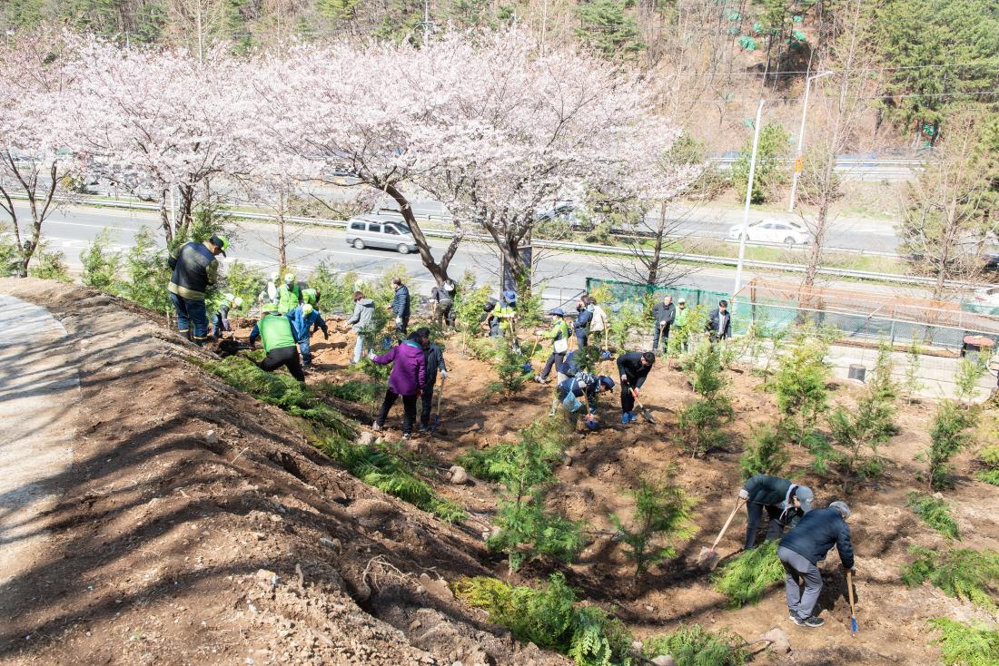 20230327_제78회 식목일 기념 나무심기 행사_25.jpg