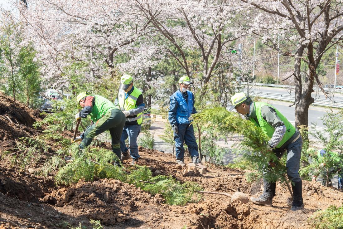 20230327_제78회 식목일 기념 나무심기 행사_11.jpg