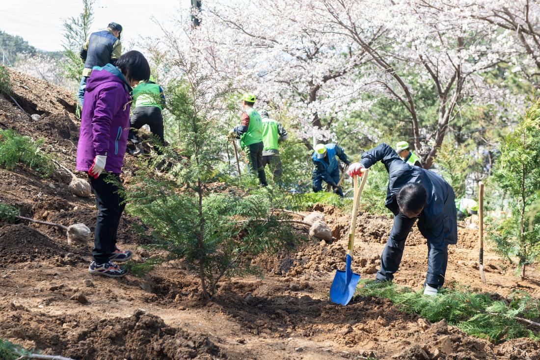 20230327_제78회 식목일 기념 나무심기 행사_18.jpg