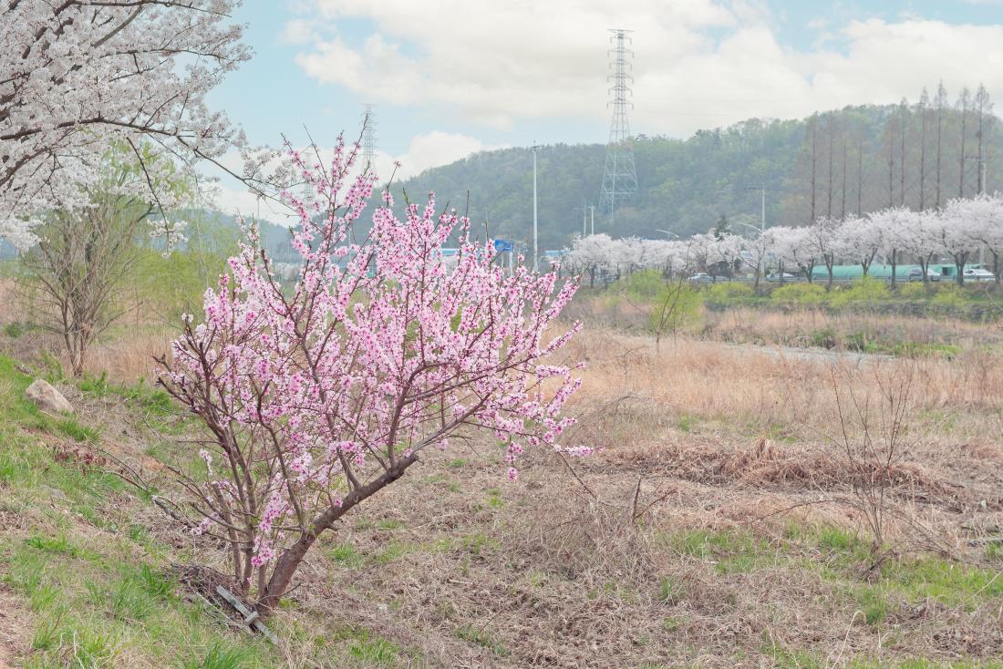 20230330_스포원파크 체육공원로_10.jpg