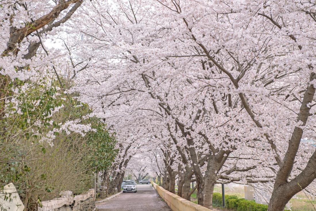 20230330_스포원파크 체육공원로_7.jpg