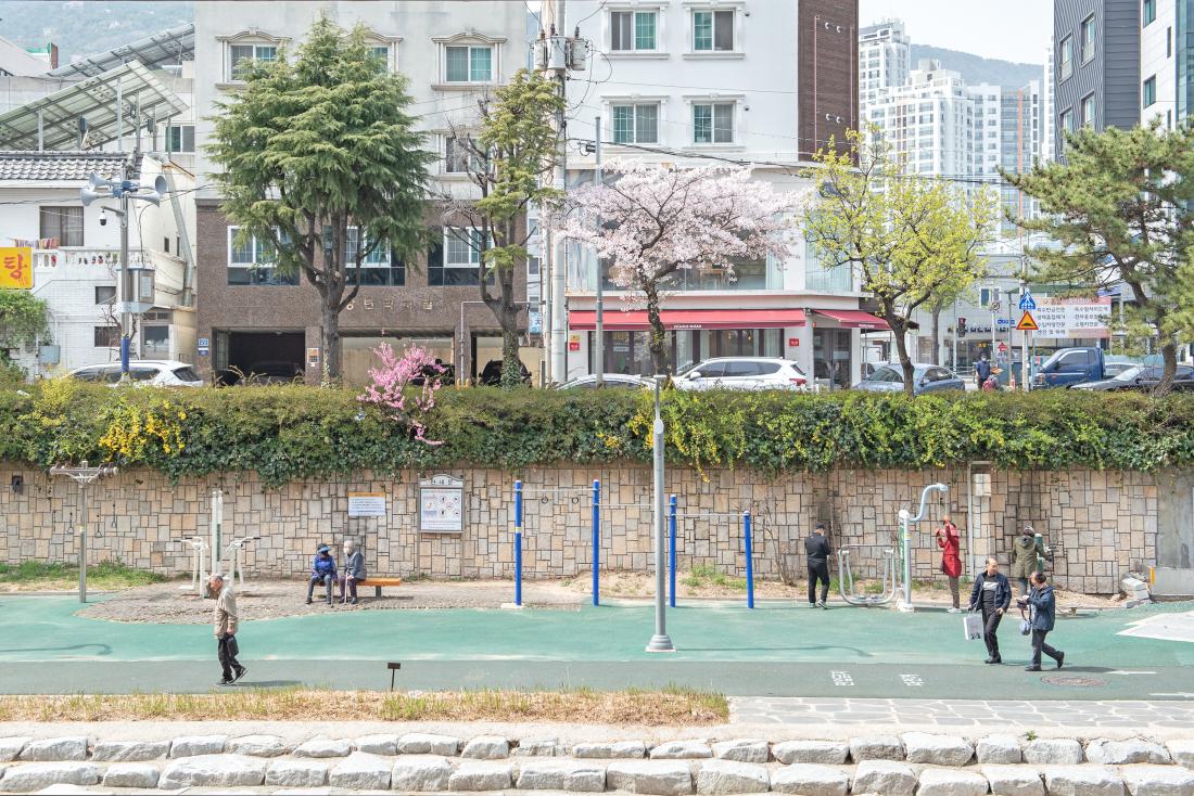 20230330_금정구 온천천의 봄_21.jpg