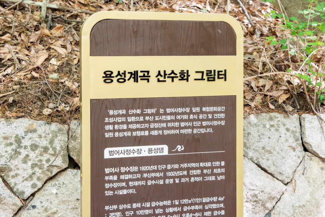 20230412_용성계곡 산책로_16.jpg
