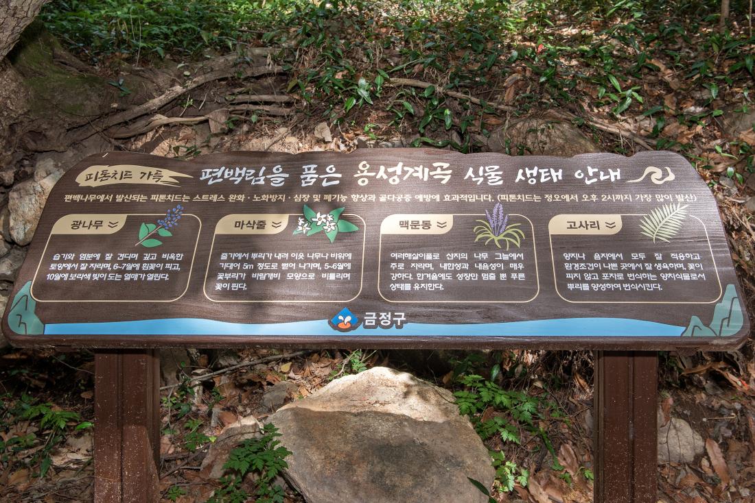 20230412_용성계곡 산책로_24.jpg