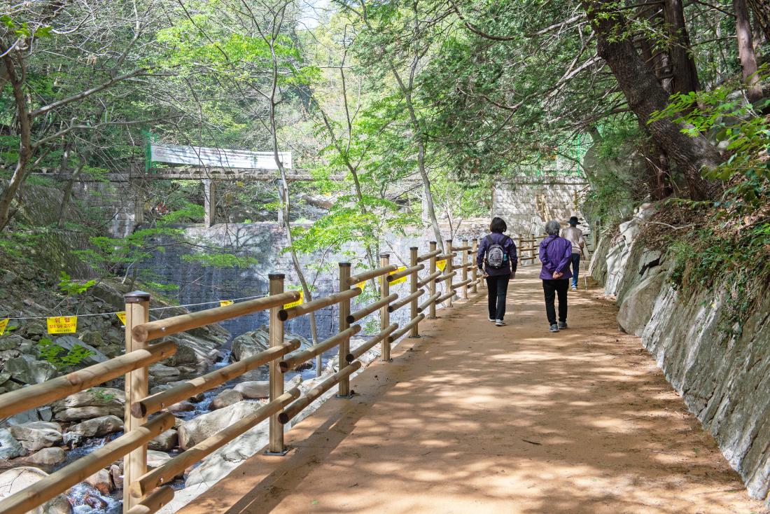 20230412_용성계곡 산책로_9.jpg