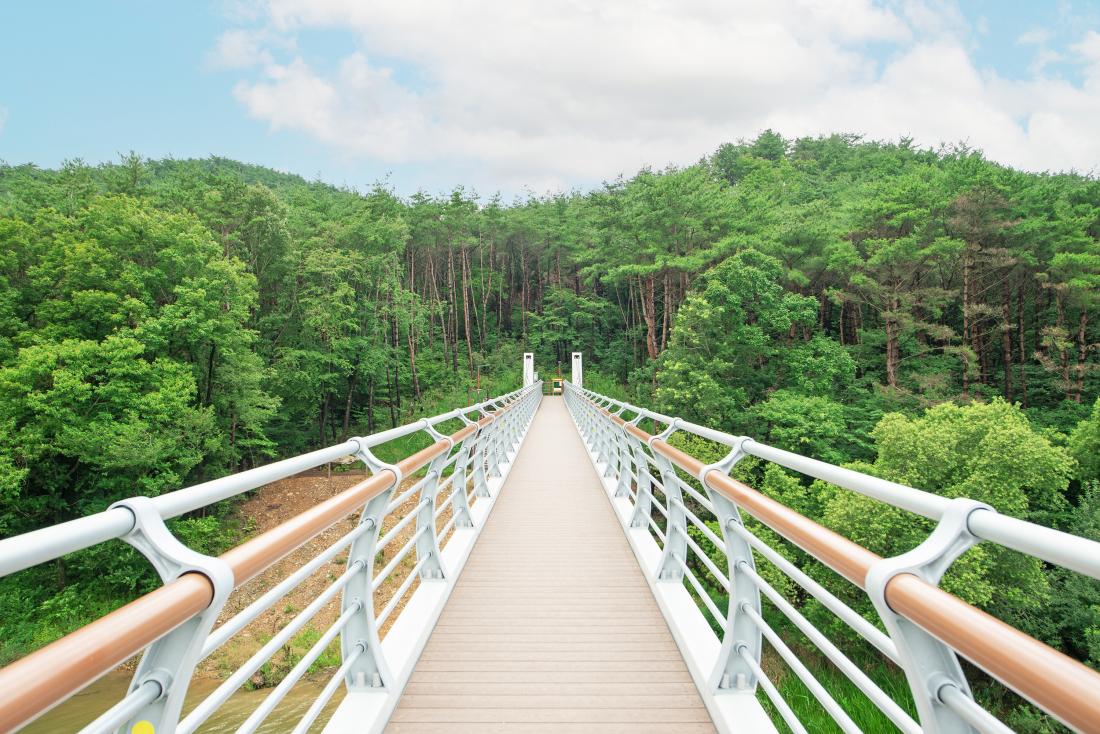 20230705_회동호 누리교_11.jpg