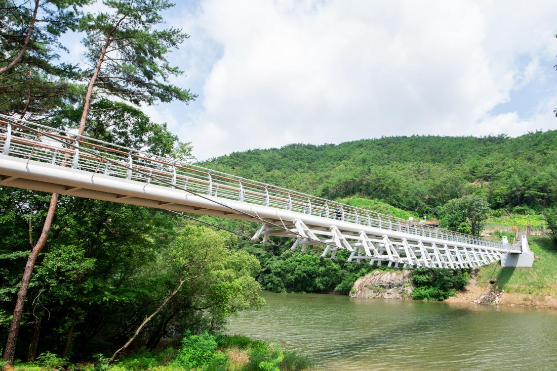 20230705_회동호 누리교_12.jpg