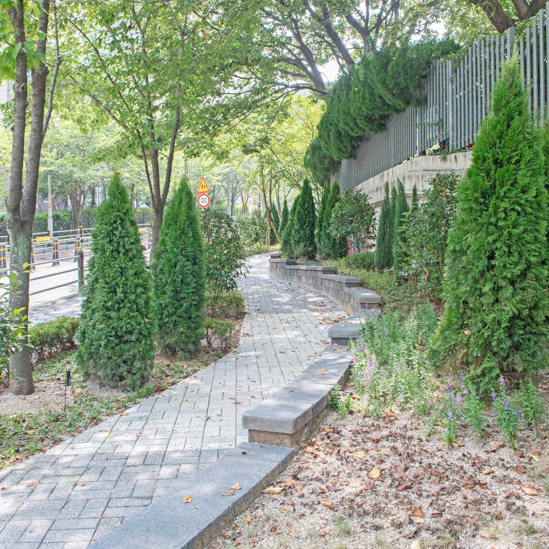 20230701_장서 초등학교 앞 자녀 안심 그린숲 조성_3.jpg