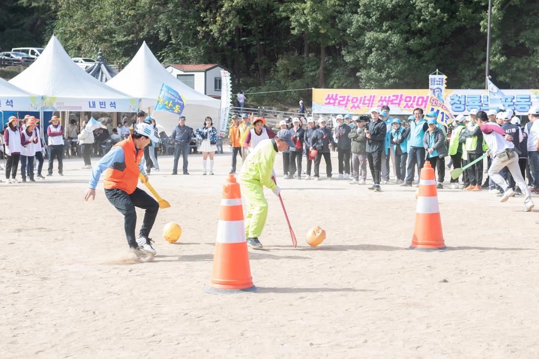 20231021_금정구민 한마음 체육대회-색판뒤집기,신발양궁,돼지굴리기_26.jpg