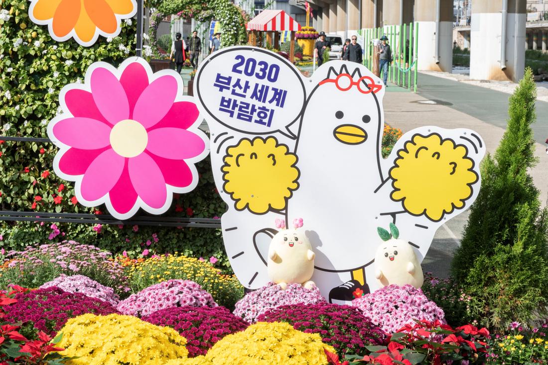 20231013_온천천 꽃정원_15.jpg