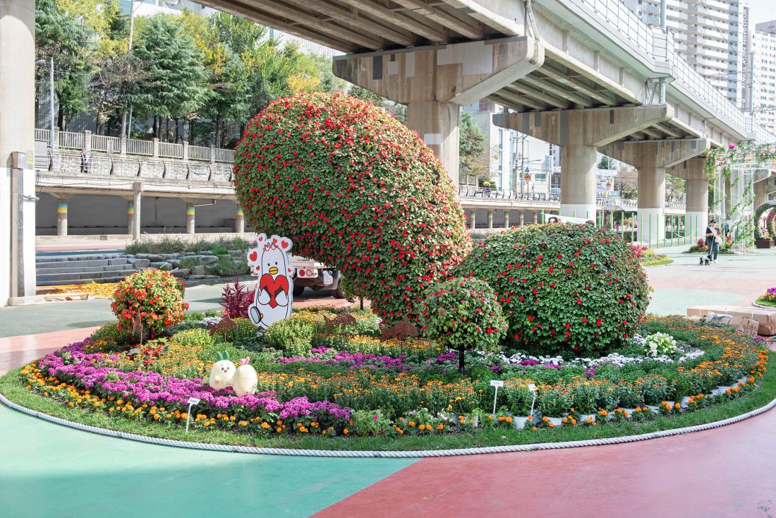 20231013_온천천 꽃정원_3.jpg